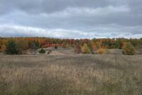 Land for sale in Cheboygan County, Michigan