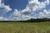 Undeveloped Land for sale in Chambers County, Alabama