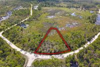 Land for sale in Levy County, Florida