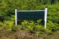 Land for sale in Emmet County, Michigan