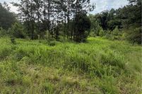 Undeveloped Land for sale in Surry County, Virginia