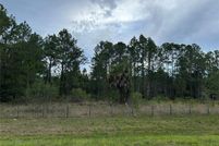 Land for sale in Levy County, Florida