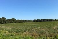 Undeveloped Land for sale in Fayette County, Illinois