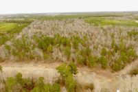 Timberland Property for sale in Morris County, Texas