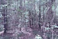Undeveloped Land for sale in Tyler County, Texas