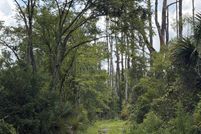 Undeveloped Land for sale in Taylor County, Florida