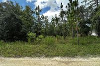 Land for sale in Levy County, Florida