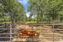 Undeveloped Land for sale in Baldwin County, Alabama