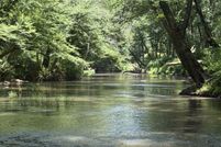 Land for sale in Fayette County, Alabama