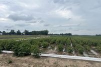 Land for sale in Clay County, Arkansas