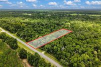 Land for sale in Dixie County, Florida