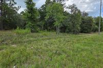 Land for sale in Levy County, Florida