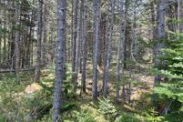Undeveloped Land for sale in Knox County, Maine