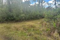 Farm and Ranch for sale in Orange County, Florida