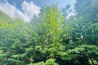 Land for sale in Osceola County, Michigan