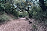 Undeveloped Land for sale in McCulloch County, Texas