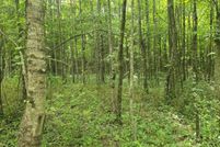 Land for sale in Clinton County, Ohio