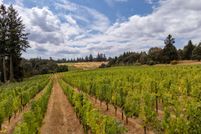 Land for sale in Yamhill County, Oregon