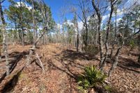 Land for sale in Alachua County, Florida