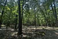 Land for sale in Lake County, Michigan