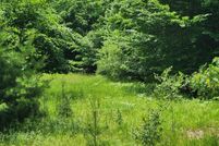 Land for sale in Manistee County, Michigan