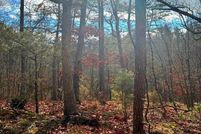 Land for sale in Shenandoah County, Virginia