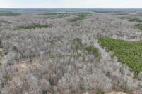 Undeveloped Land for sale in Essex County, Virginia