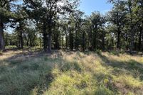 Undeveloped Land for sale in Bosque County, Texas