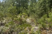 Land for sale in Walton County, Florida
