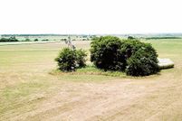 Land for sale in Cooke County, Texas