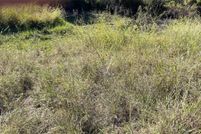 Land for sale in Brown County, Texas