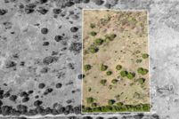 Undeveloped Land for sale in Ellis County, Texas