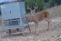 Farm and Ranch for sale in Nolan County, Texas