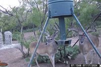 Land for sale in Runnels County, Texas