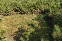 Land for sale in Panola County, Texas