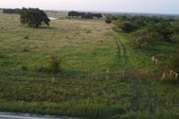 Land for sale in Comanche County, Texas