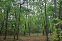 Undeveloped Land for sale in Walker County, Texas