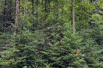 Farm and Ranch for sale in Caledonia County, Vermont
