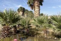 Farm and Ranch for sale in Clark County, Nevada
