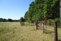 Land for sale in Trinity County, Texas
