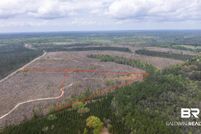 Undeveloped Land for sale in Baldwin County, Alabama