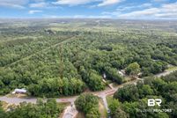 Undeveloped Land for sale in Escambia County, Alabama