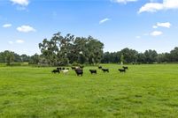 Land for sale in Sumter County, Florida
