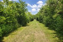 Undeveloped Land for sale in Brazoria County, Texas
