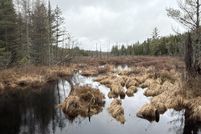 Farm and Ranch for sale in Washington County, Maine