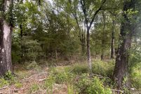 Undeveloped Land for sale in Freestone County, Texas
