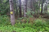 Land for sale in Chautauqua County, New York