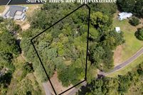Land for sale in Panola County, Texas