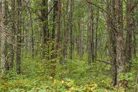 Timberland Property for sale in Crow Wing County, Minnesota