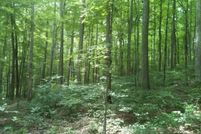 Land for sale in Knox County, Kentucky